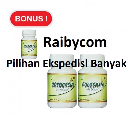 COLOCASIA-Kapsul-Penambah-Cairan-Lutut-Sendi-Herbal-ORIGINAL-Lejel