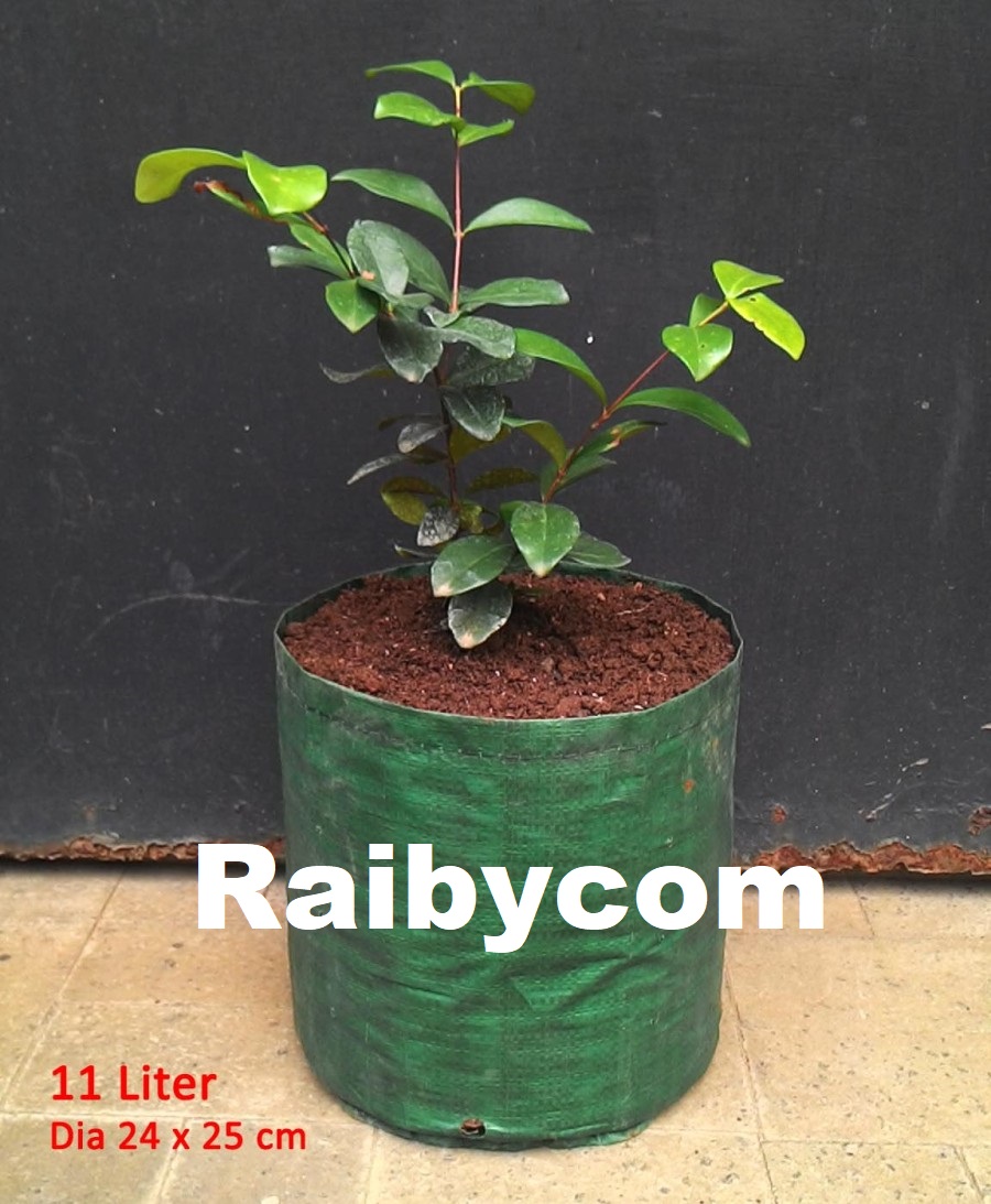 Planter_Bag_11_Liter_Easy_Grow_Planterbag_Pohon_Buah_Tanaman_Sayur_NH