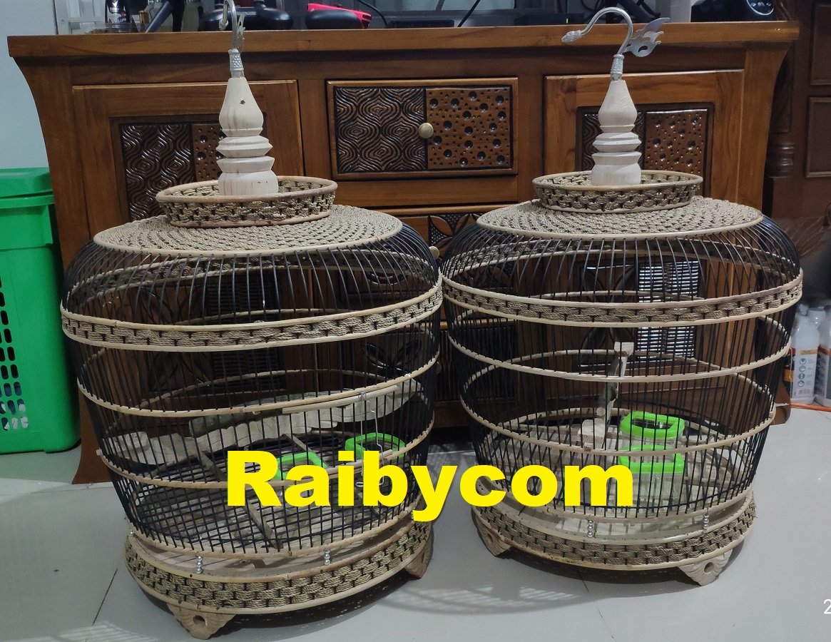 KANDANG_BURUNG_PUTER_TEKUKUR_DERKUKU_SANGKAR_ANYAMAN_ROTAN_RAJUT