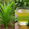 Manfaat-Rebusan-Daun-Pandan