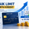 Daftar-Kartu-Kredit-yang-Mudah-Naik-Limit